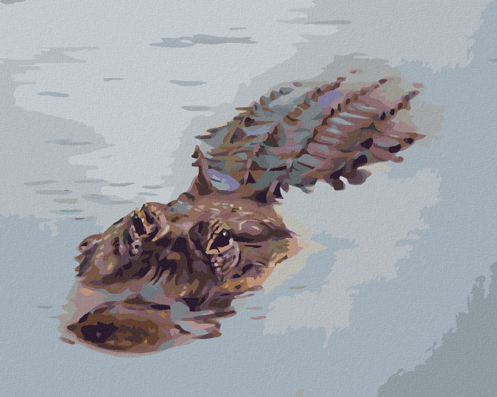 Zuty – Maľovanie Podľa Čísel – Aligátor Plávajúci Vo Vode (D. Rusty Rust), 40 × 50 cm, Plátno + Rám
