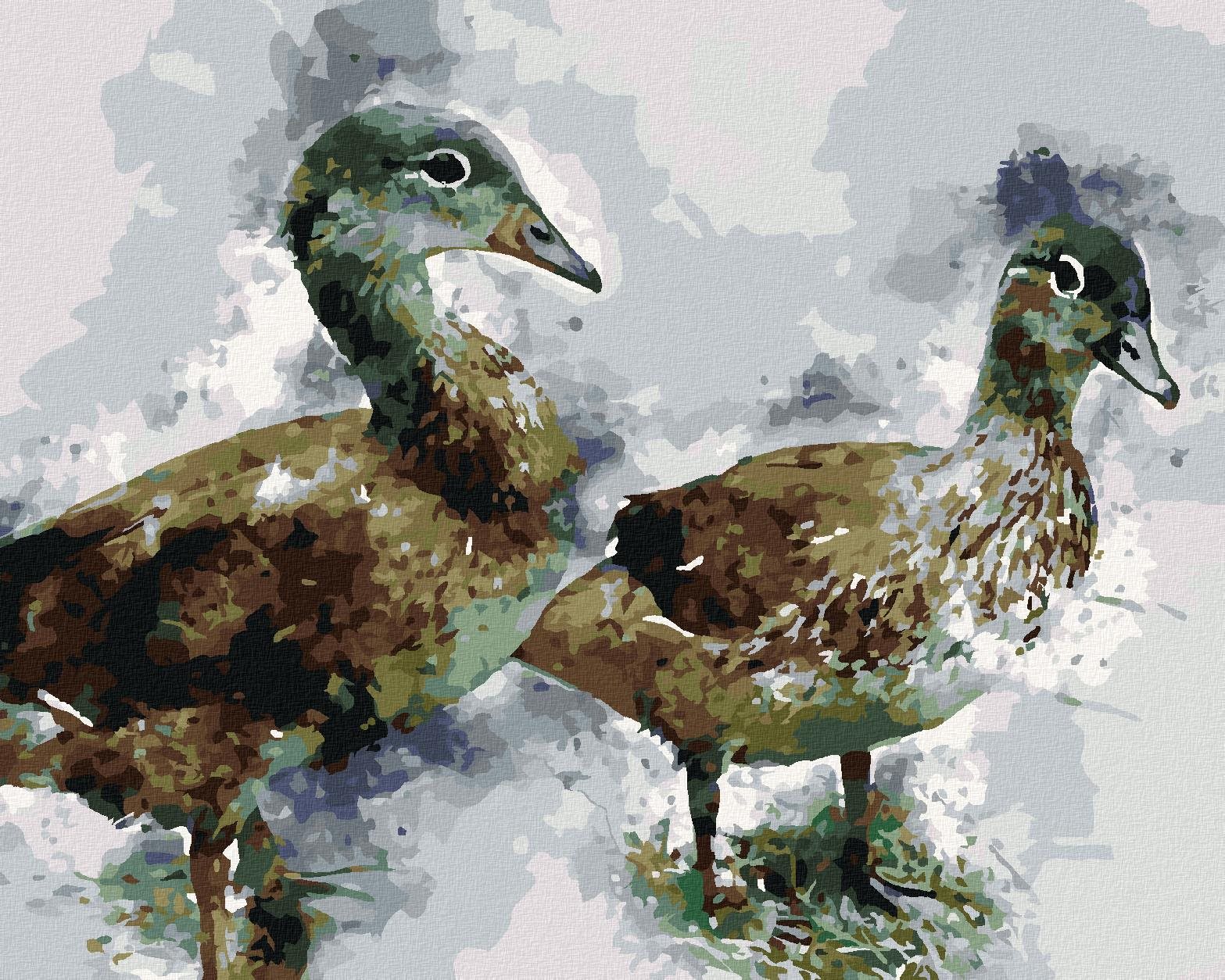Zuty – Maľovanie Podľa Čísel – Mladé Kačice, 40 × 50 cm, Plátno + Rám