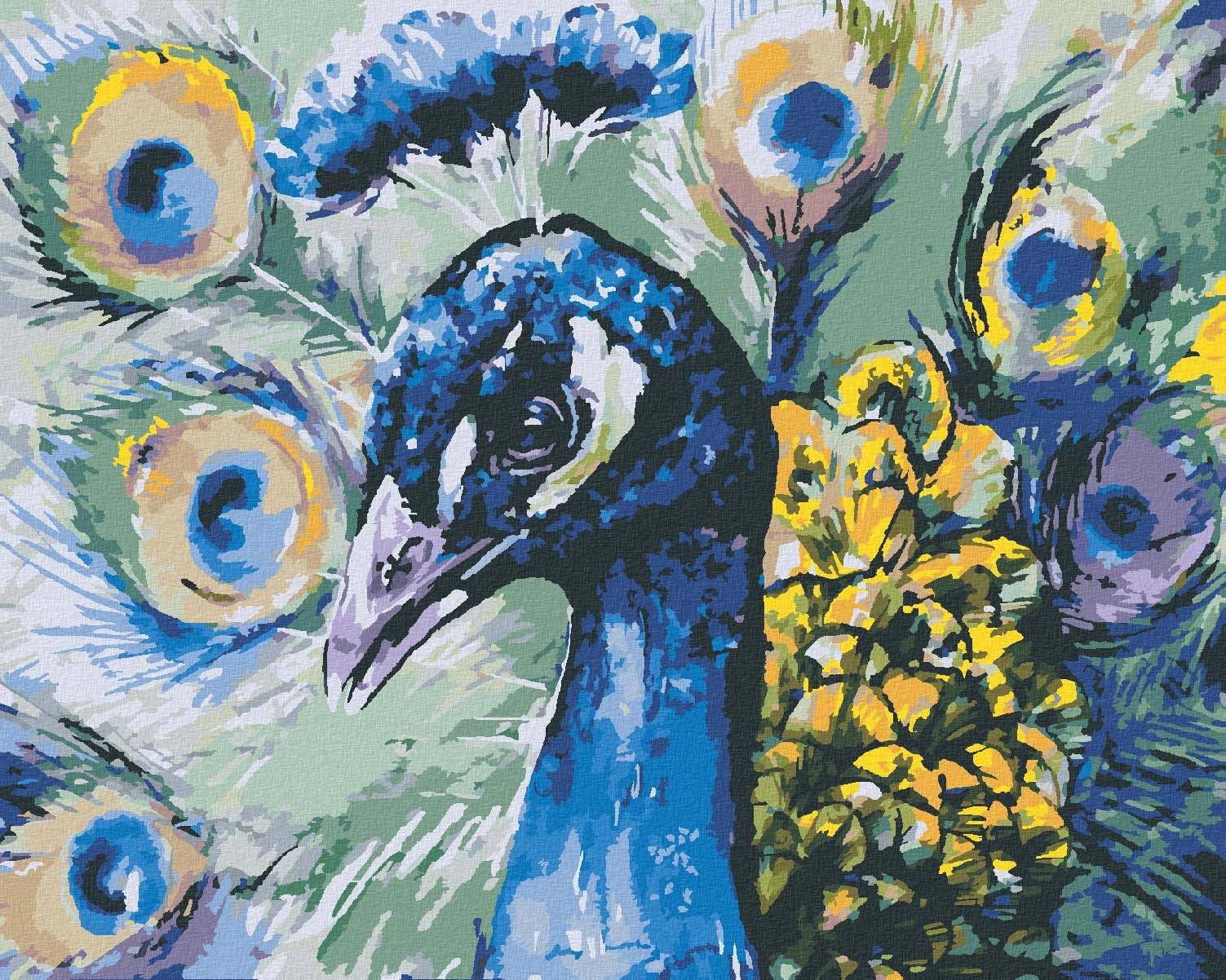 Zuty – Maľovanie Podľa Čísel – Páv, 40 × 50 cm, Plátno