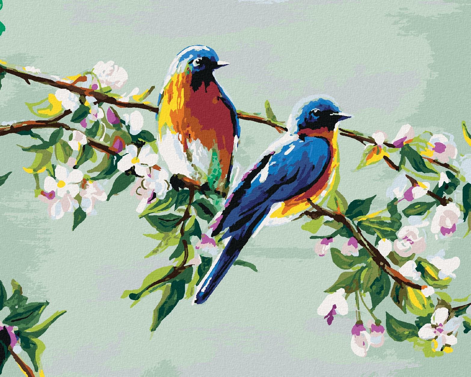 Zuty – Maľovanie Podľa Čísel – Dva Vtáčiky Na Jabloni, 40 × 50 cm, Plátno