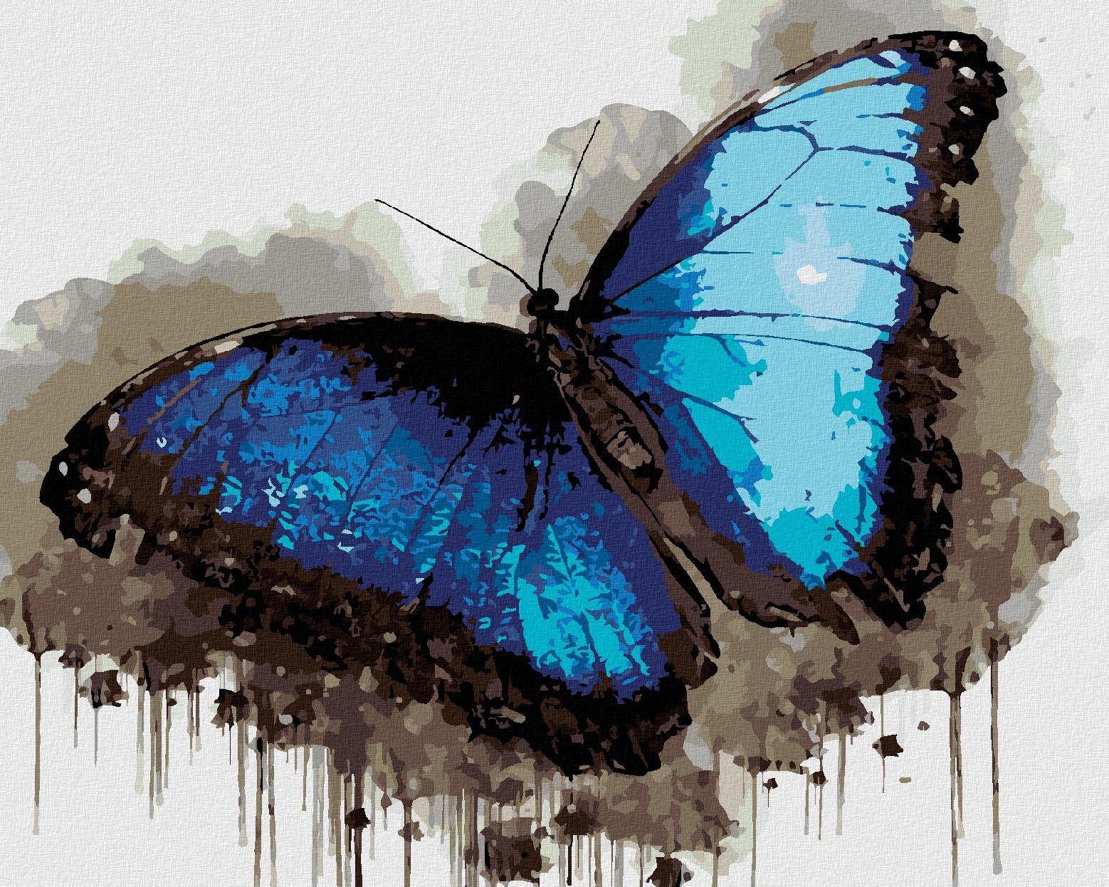 Zuty – Maľovanie Podľa Čísel – Modro-čierny Motýľ, 40 × 50 cm, Plátno + Rám