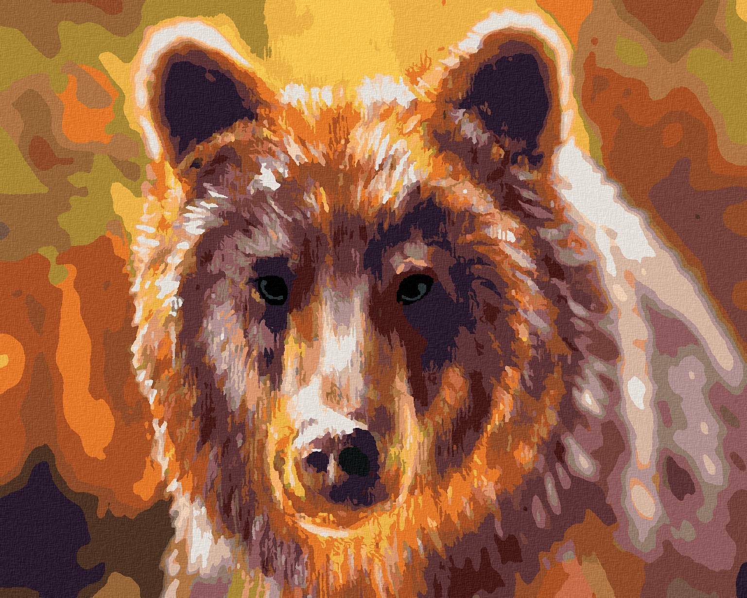 Zuty – Maľovanie Podľa Čísel – Hlava Medveďa, 40 × 50 cm, Plátno + Rám