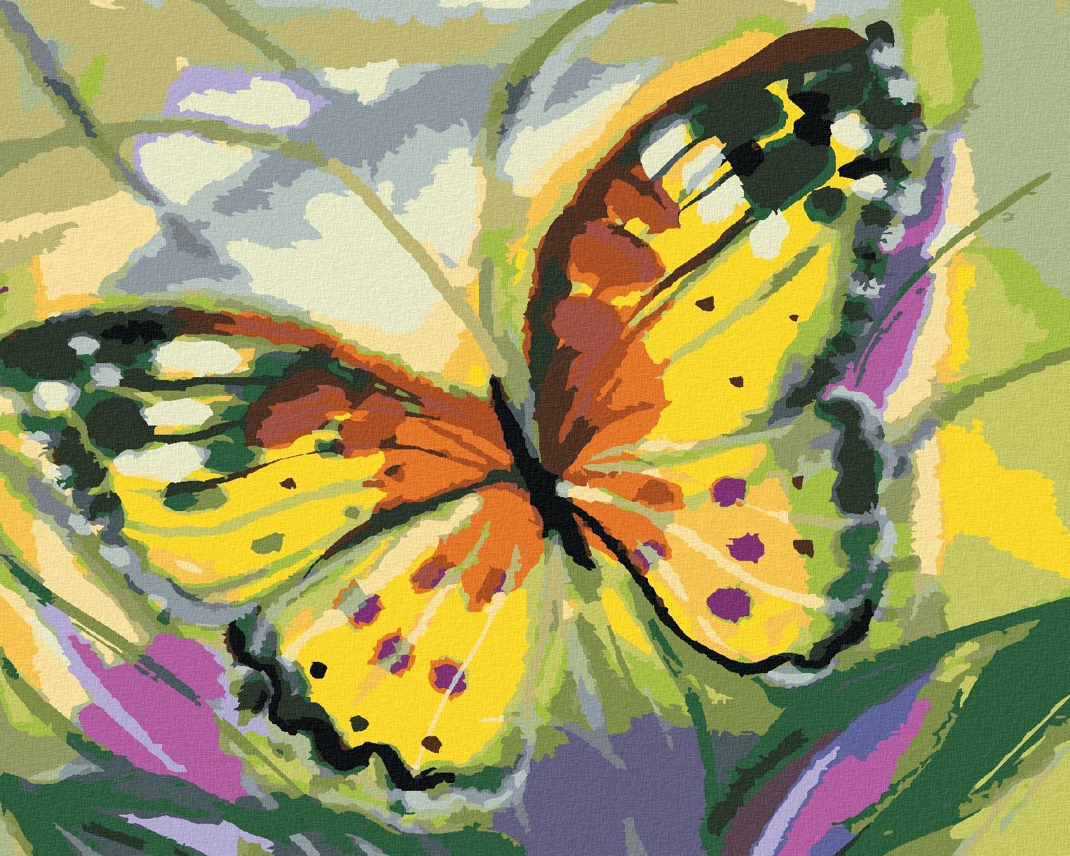 Zuty – Maľovanie Podľa Čísel – Motýľ Žltáčik, 40 × 50 cm, Plátno + Rám