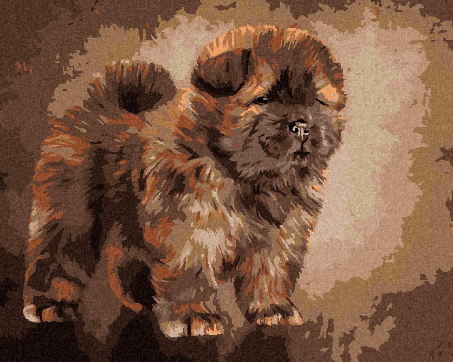Zuty – Maľovanie Podľa Čísel – Šteniatko Chow Chow, 40 × 50 cm, Plátno + Rám