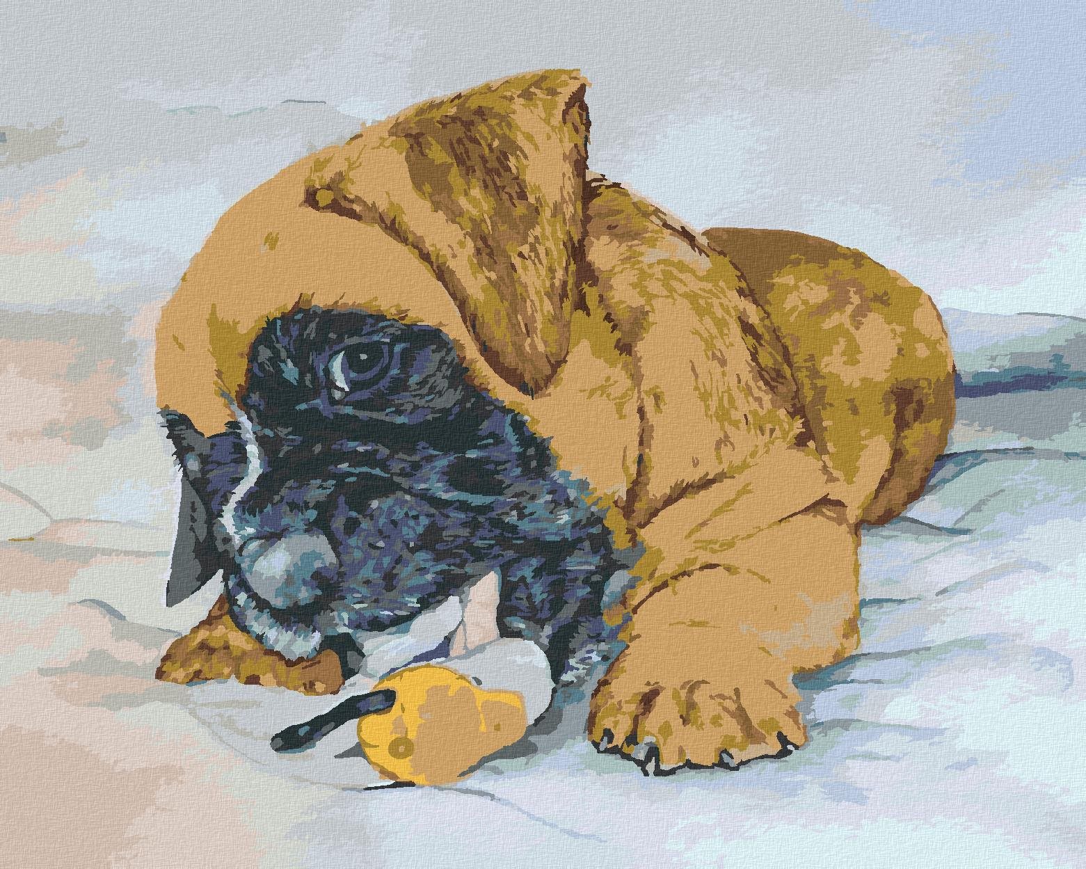 Zuty – Maľovanie Podľa Čísel – Šteňa Nemeckého Boxera, 40 × 50 cm, Plátno