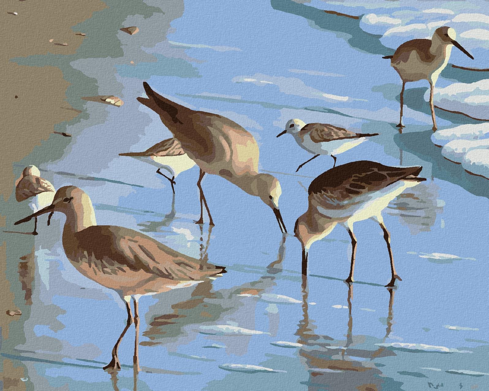 Zuty – Maľovanie Podľa Čísel – Čajky Na Pláži (Robert Johnson), 80 × 100 cm, Plátno + Rám