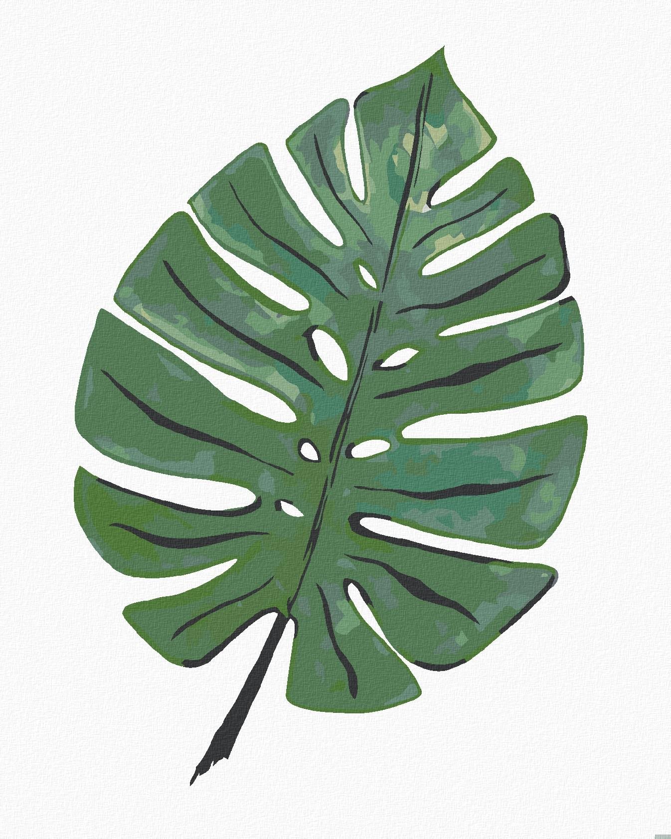 Zuty – Maľovanie Podľa Čísel – List Monstera (Alexandria Gilbert), 80 × 100 cm, Plátno