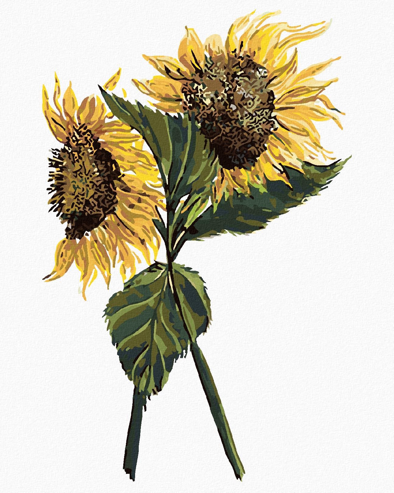 Zuty – Maľovanie Podľa Čísel – Slnečnice (Alexandria Gilbert), 40 × 50 cm, Plátno + Rám