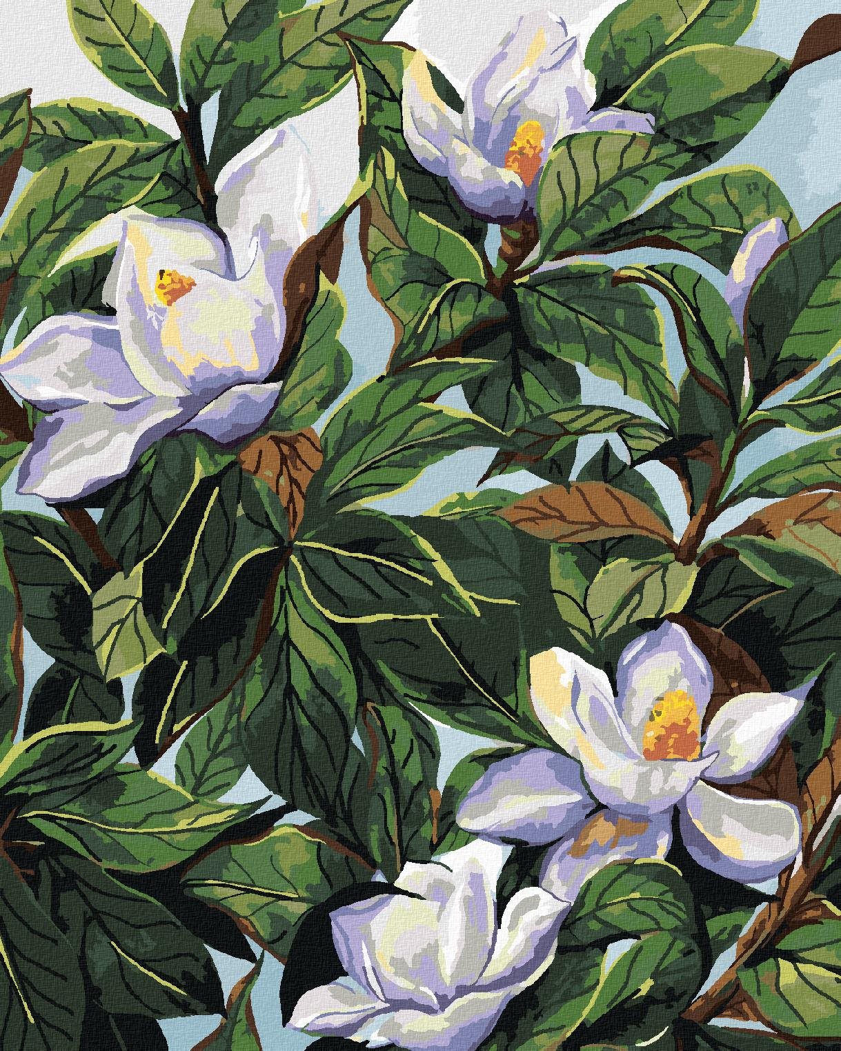 Zuty - Maľovanie podľa čísel - Biele kvety magnólie A Listy (Alexandria Gilbert), 80 × 100 cm, plátno