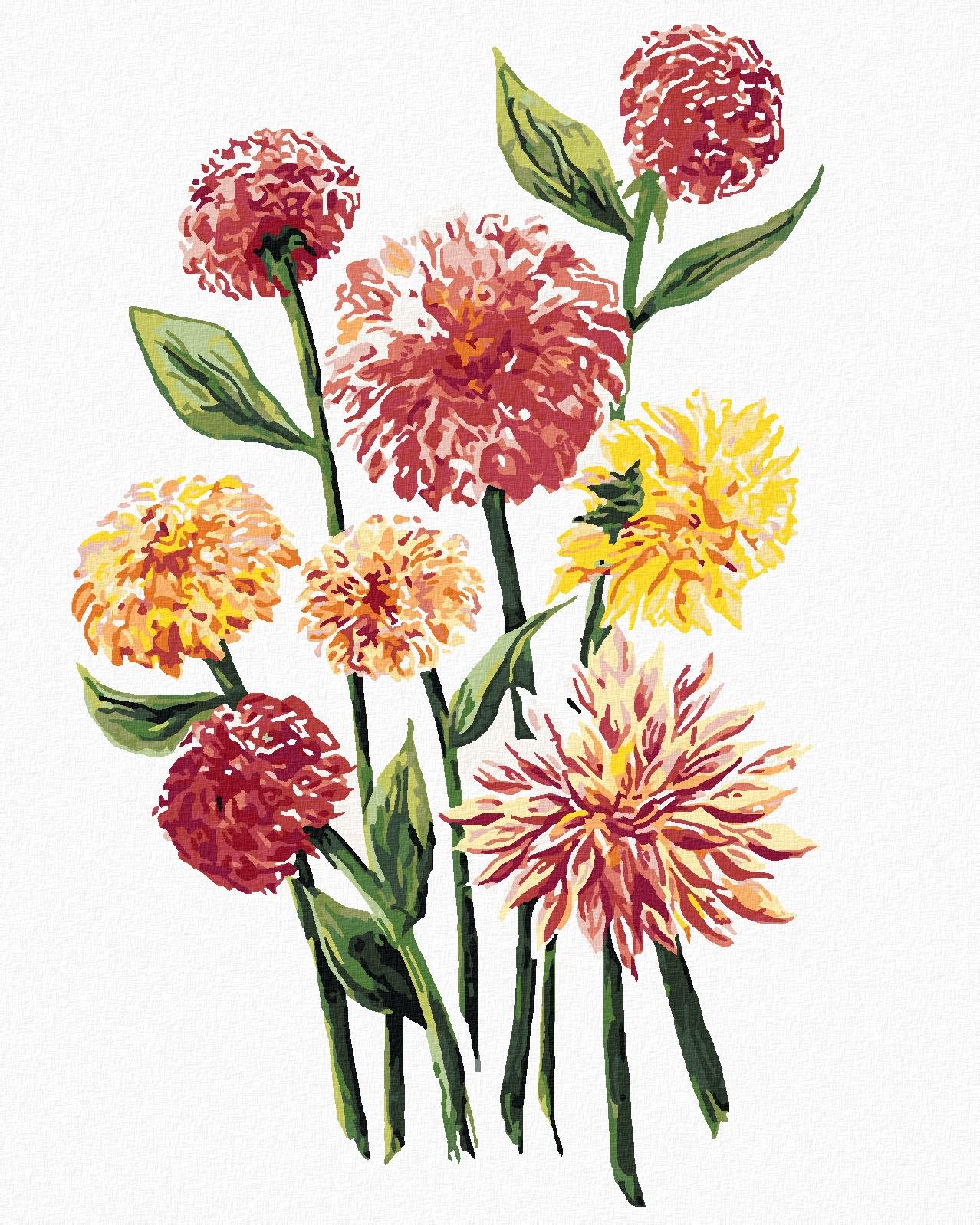 Zuty – Maľovanie Podľa Čísel – Žlté A Ružové Kvety Georgíny (Alexandria Gilbert), 40 × 50 cm, Plátno + Rám