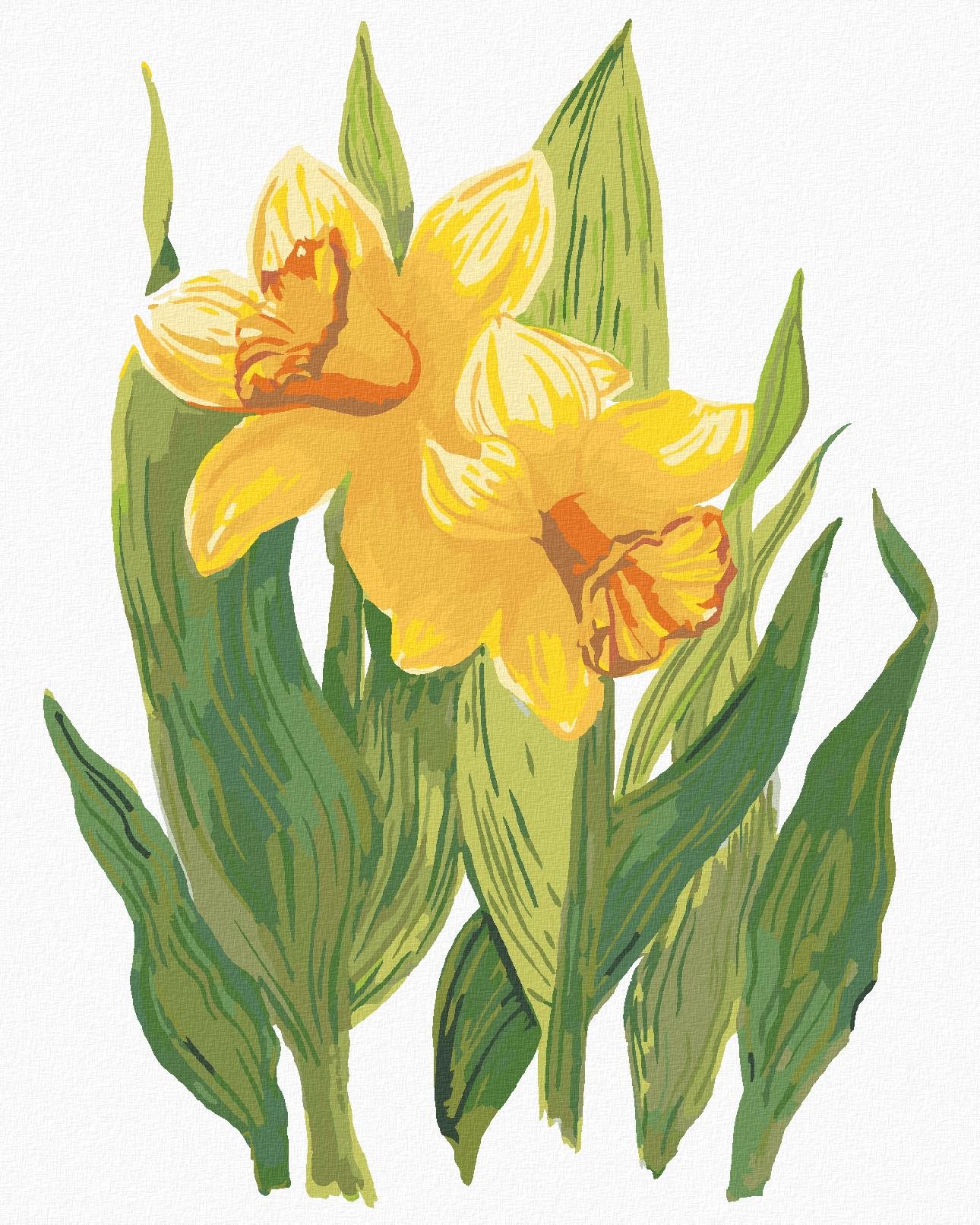 Zuty - Maľovanie podľa čísel - Žlté narcisy (Alexandria Gilbert), 80 × 100 cm, plátno + rám