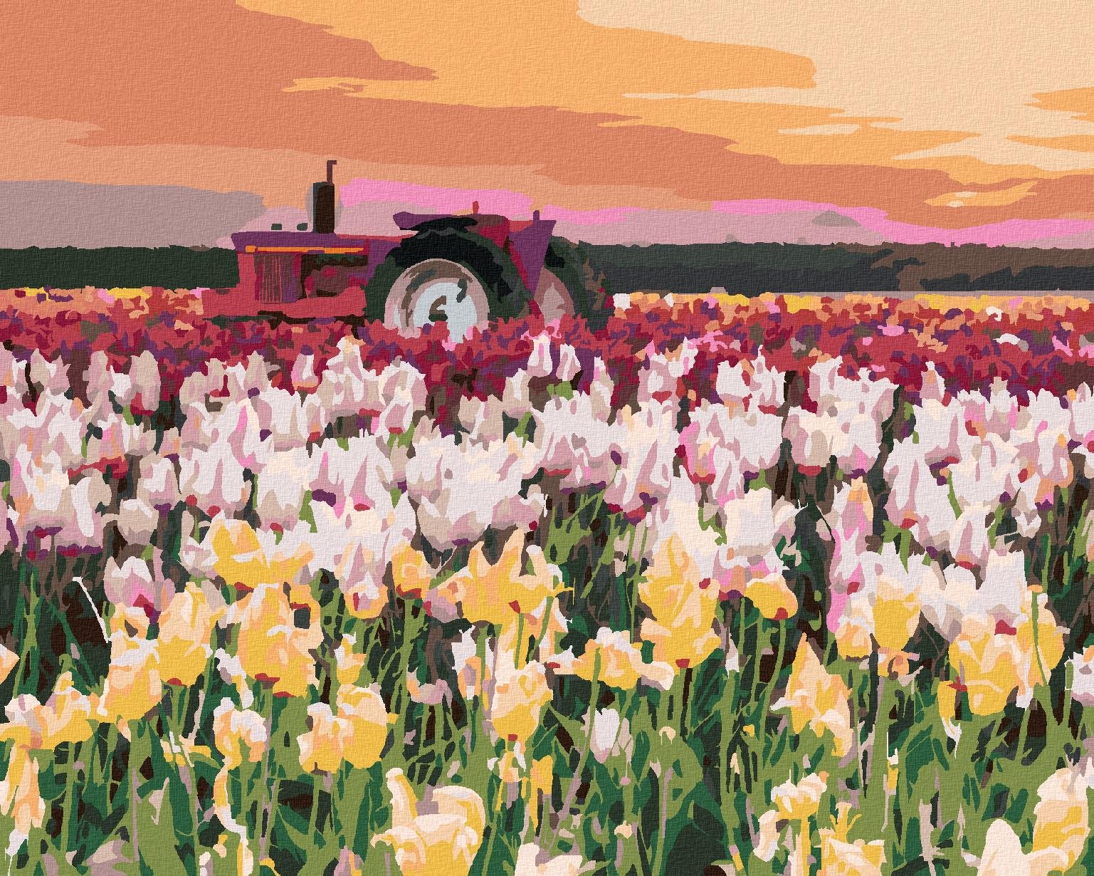 Zuty - Maľovanie podľa čísel - Tulipány na poli (Ted Davis), 80 × 100 cm, plátno + rám