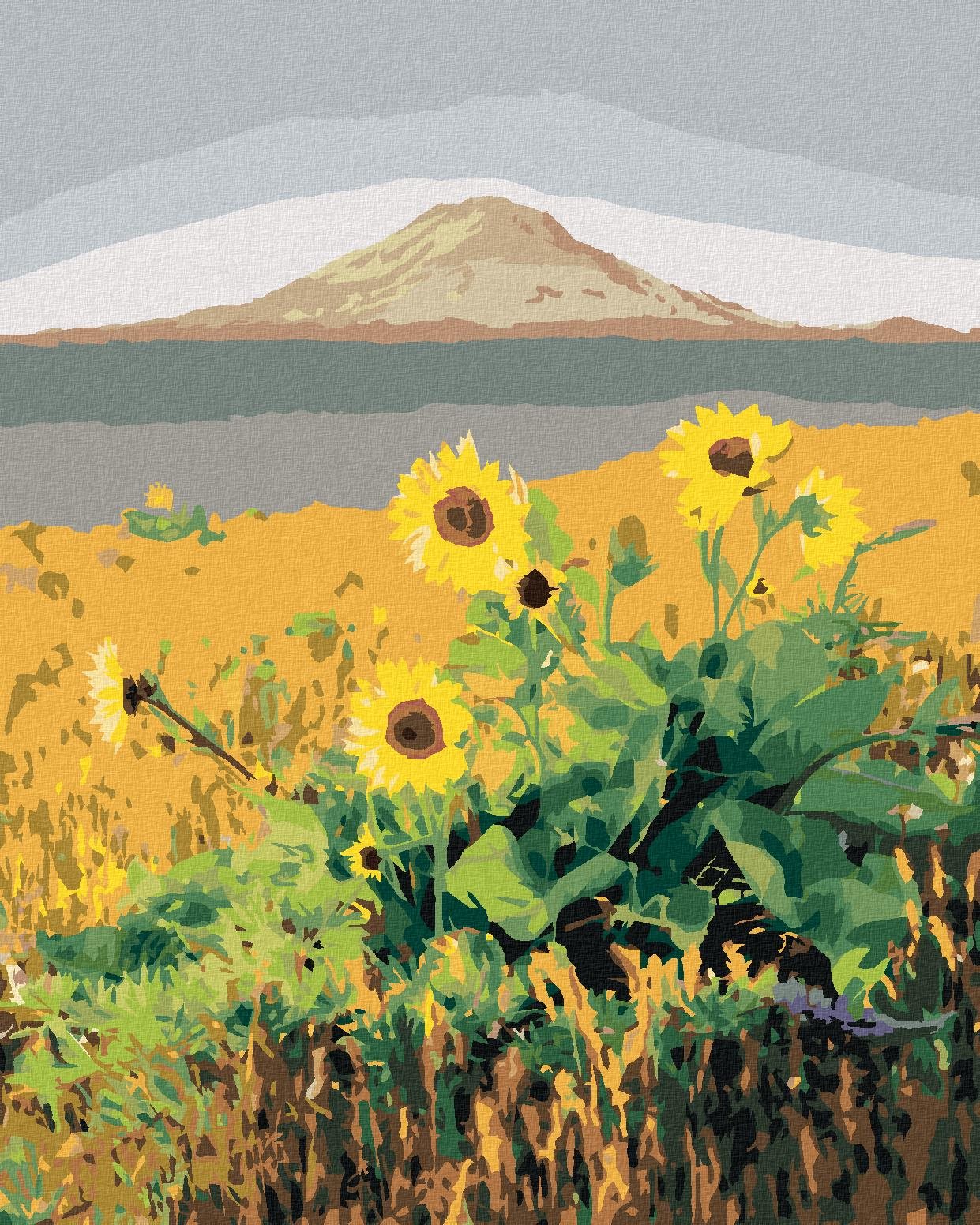 Zuty – Maľovanie Podľa Čísel – Slnečnice Pred Horou, USA (Ted Davis), 40 × 50 cm, Plátno + Rám