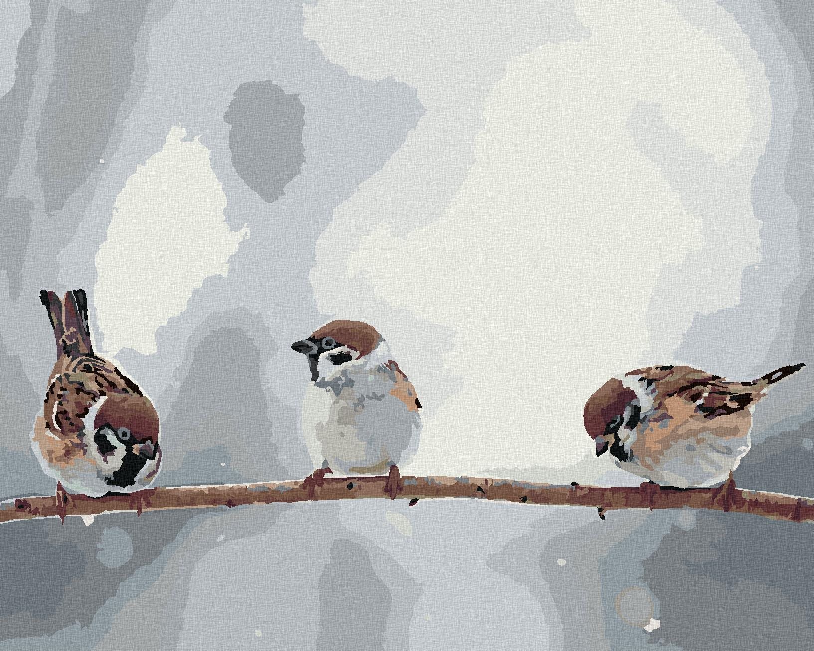 Zuty – Maľovanie Podľa Čísel – Malé Vtáčiky Na Konári, 40 × 50 cm, Plátno + Rám
