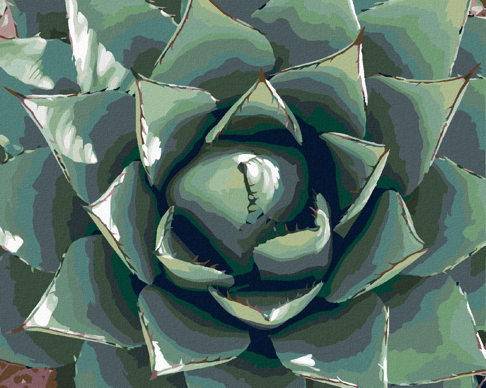 Zuty – Maľovanie Podľa Čísel – Púštna Šťavnatá Rastlina, 40 × 50 cm, Plátno