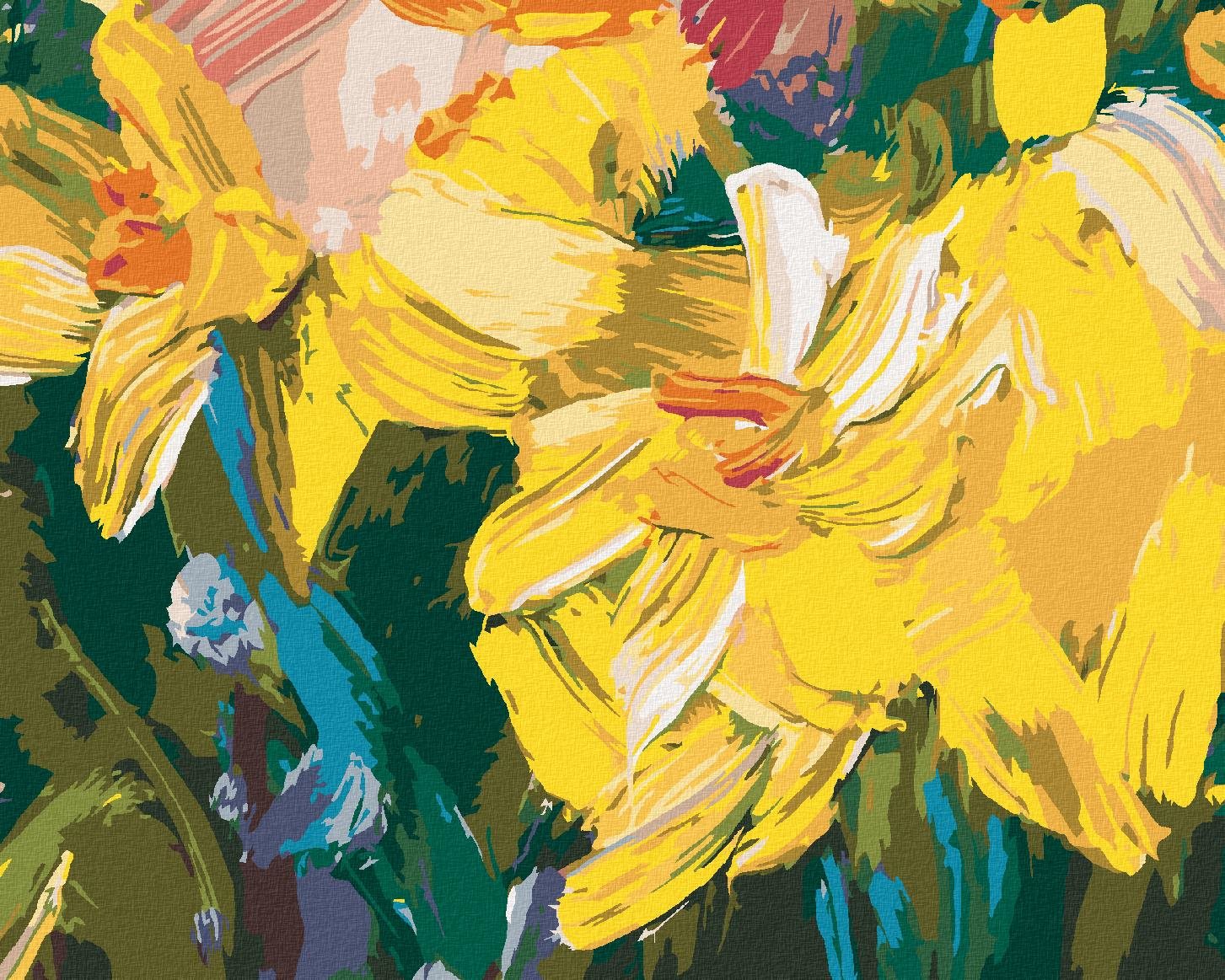 Zuty – Maľovanie Podľa Čísel – Žlté Narcisy, 40 × 50 cm, Plátno