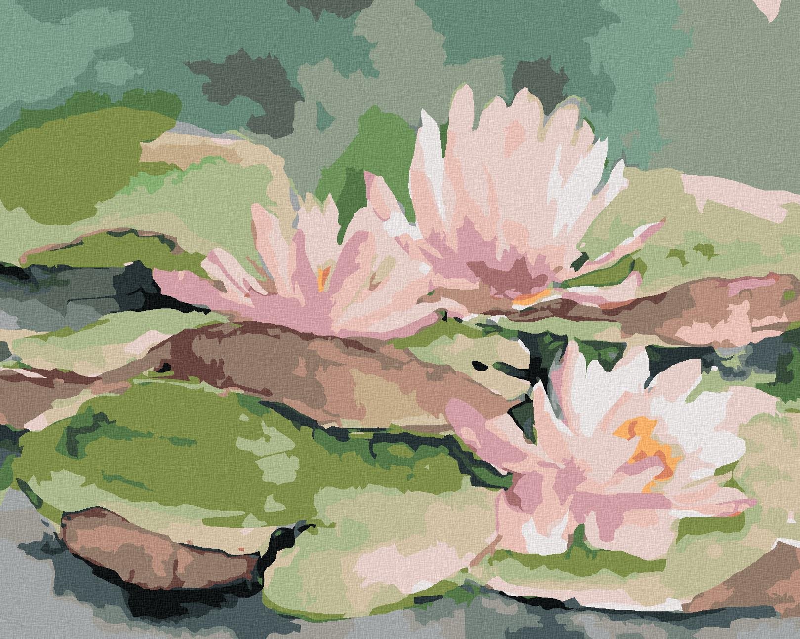 Zuty – Maľovanie Podľa Čísel – Ružové Japonské Lekná, 40 × 50 cm, Plátno