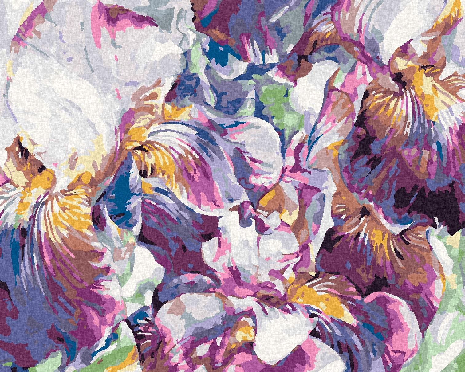 Zuty – Maľovanie Podľa Čísel – Fialové Kosatce, 40 × 50 cm, Plátno