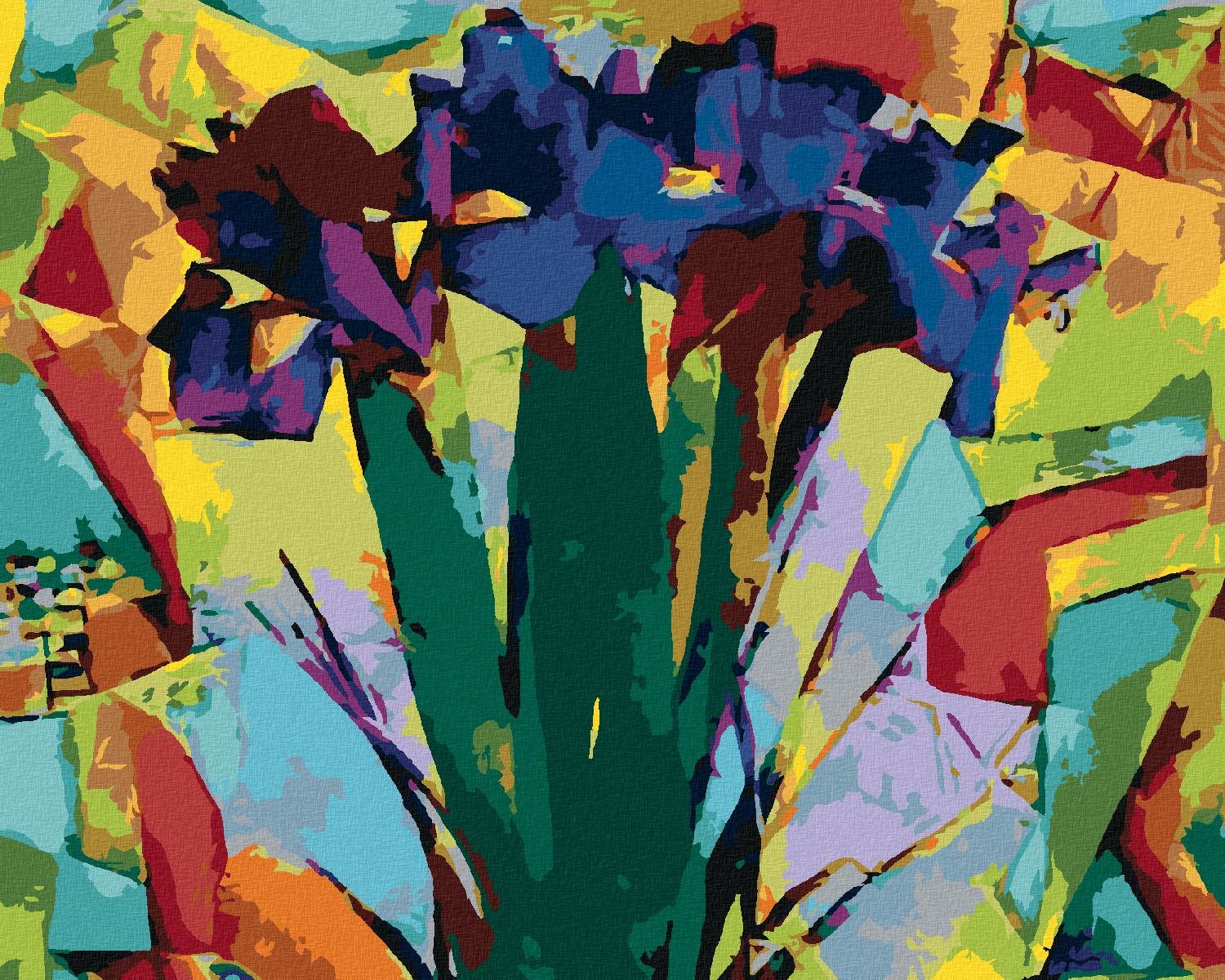 Zuty – Maľovanie Podľa Čísel – Abstraktné Kosatce, 40 × 50 cm, Plátno + Rám