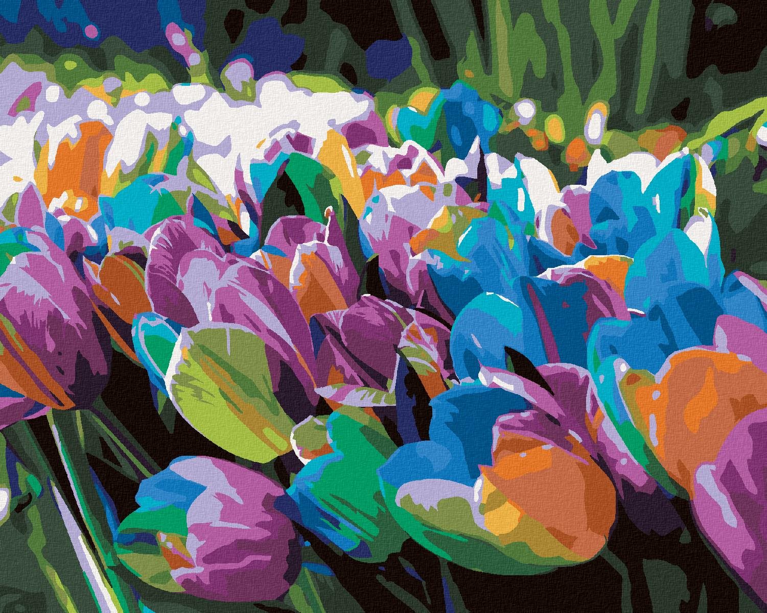 Zuty – Maľovanie Podľa Čísel – Dúhové Tulipány, 80 × 100 cm, Plátno