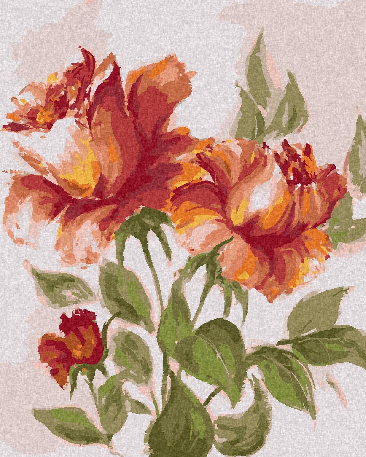 Zuty – Maľovanie Podľa Čísel – Červeno-oranžové Ruže, 40 × 50 cm, Plátno