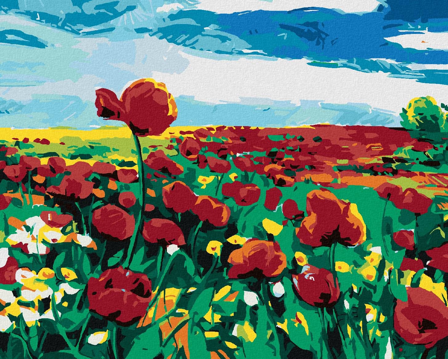 Zuty – Maľovanie Podľa Čísel – Vlčí Mak Na Poli, 40 × 50 cm, Plátno + Rám