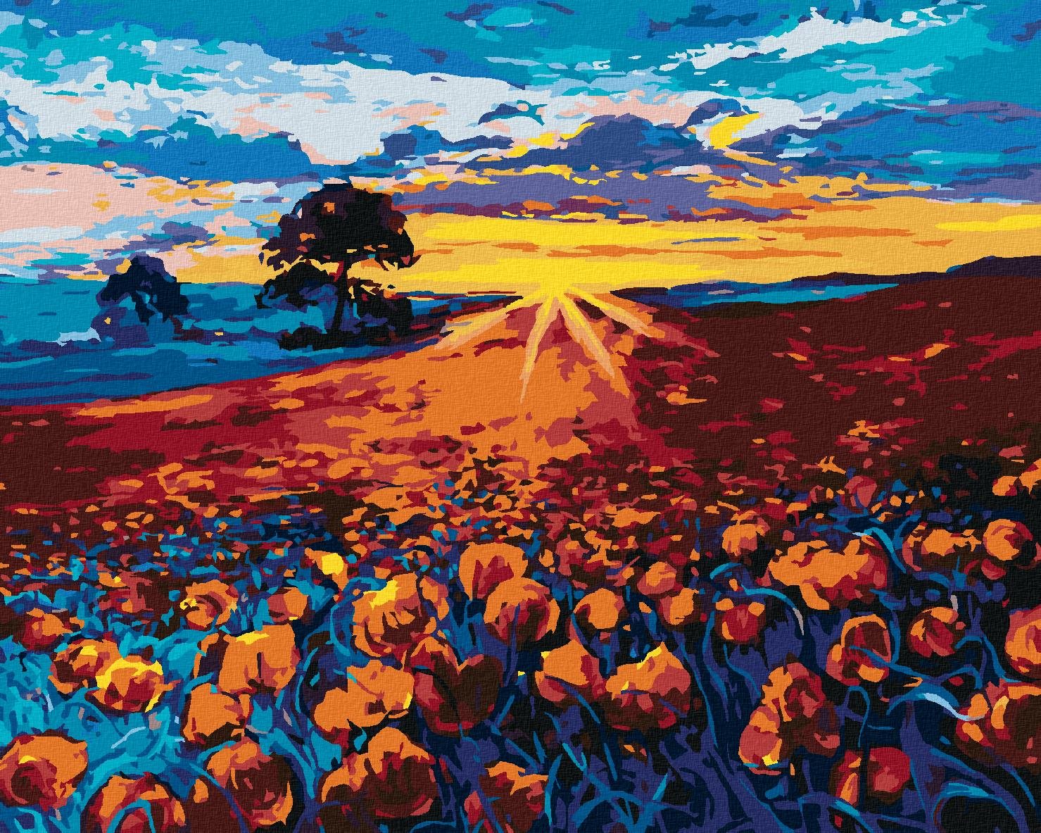 Zuty – Maľovanie Podľa Čísel – Vlčí Mak, 80 × 100 cm, Plátno + Rám