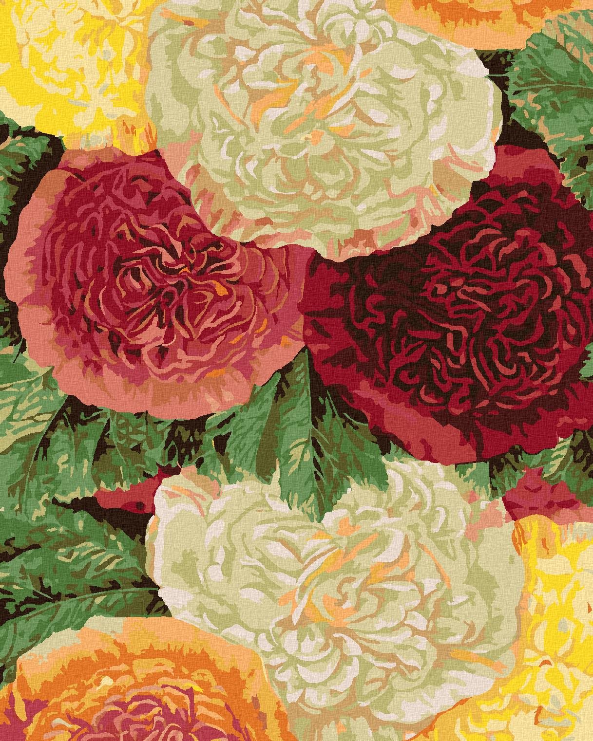 Zuty – Maľovanie Podľa Čísel – Pestré Pivonky, 40 × 50 cm, Plátno