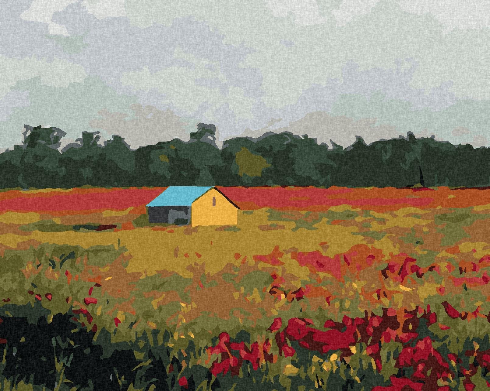 Zuty – Maľovanie Podľa Čísel – Domček A Vlčie Maky, 80 × 100 cm, Plátno