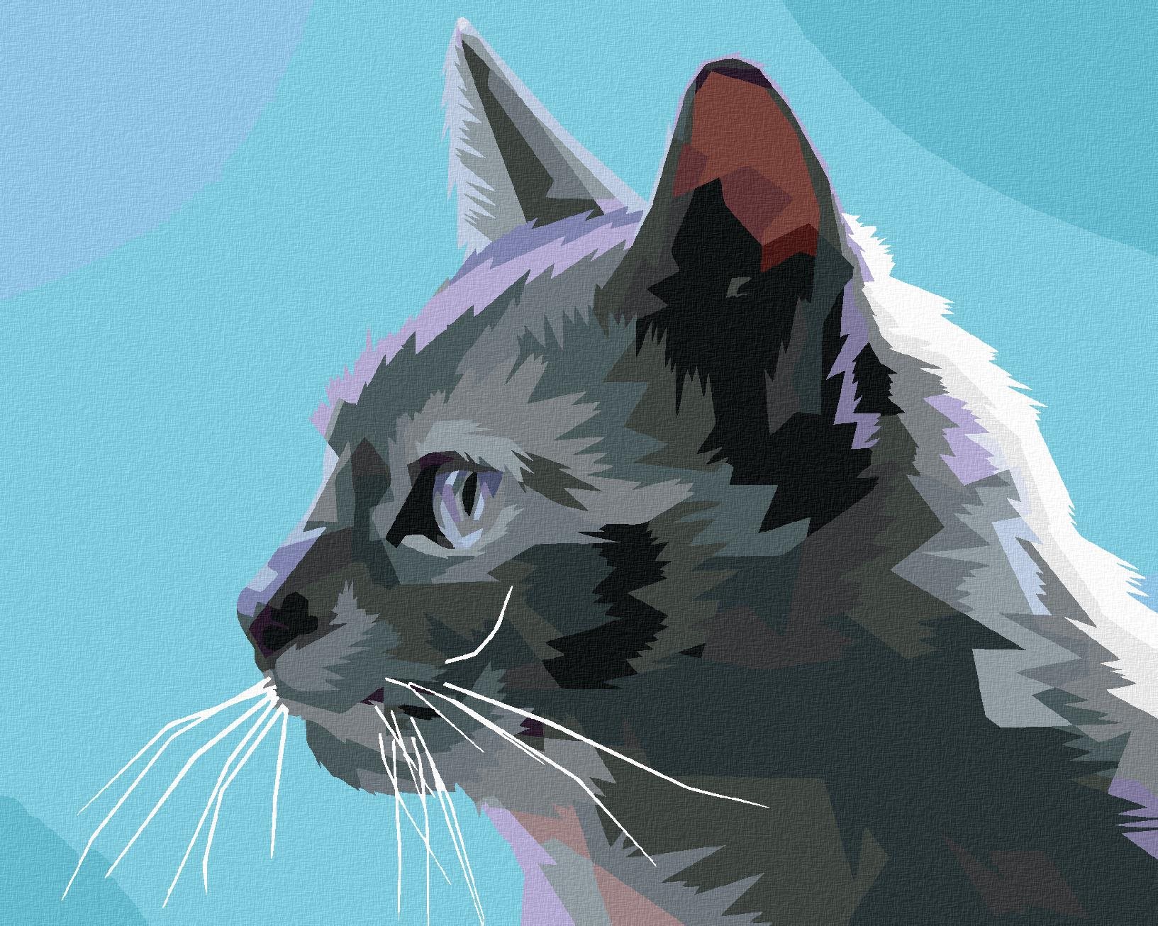 Zuty – Maľovanie Podľa Čísel – Sivá Mačka Zboku, 40 × 50 cm, Plátno
