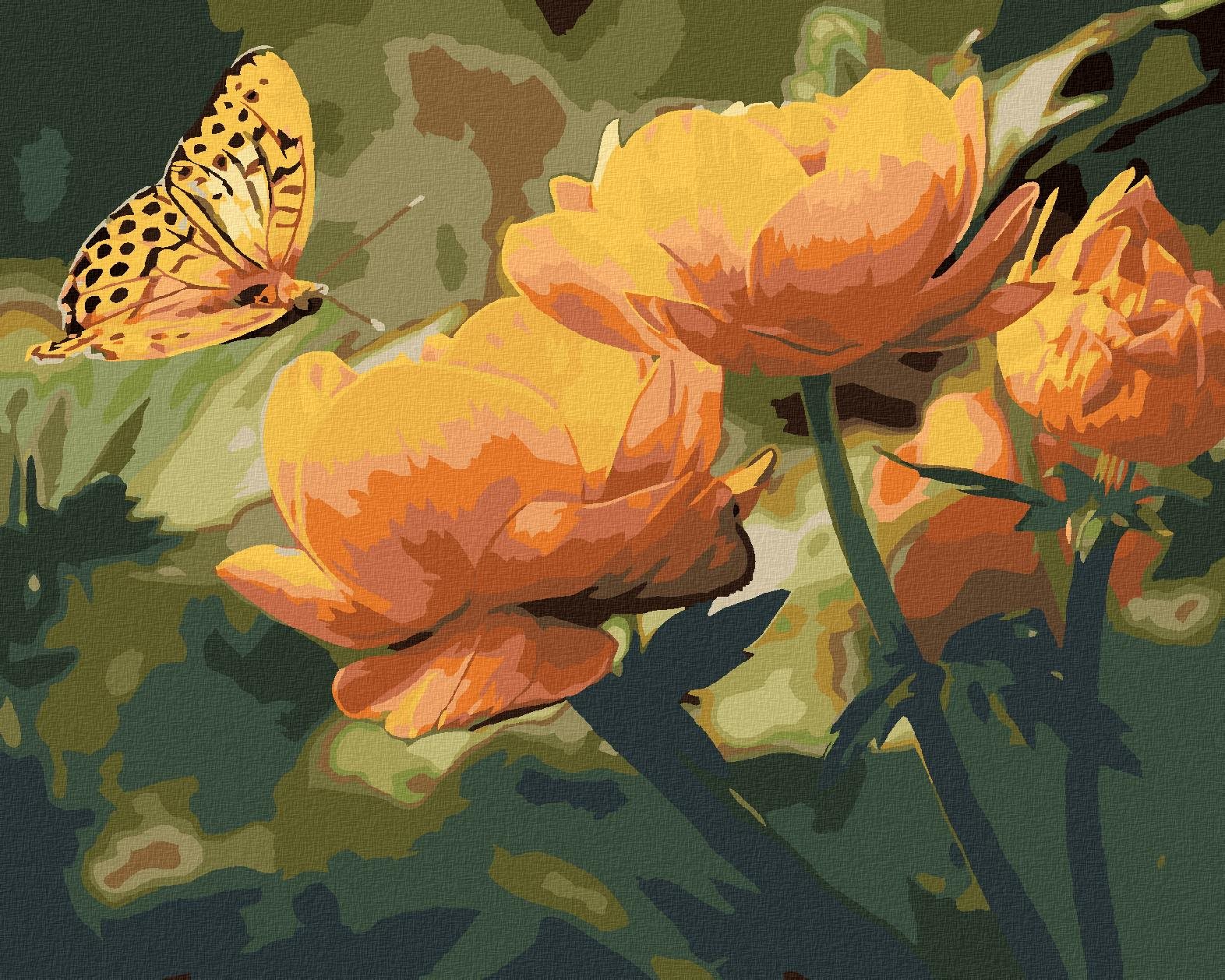 Zuty – Maľovanie Podľa Čísel – Motýľ A Oranžové Kvety, 40 × 50 cm, Plátno