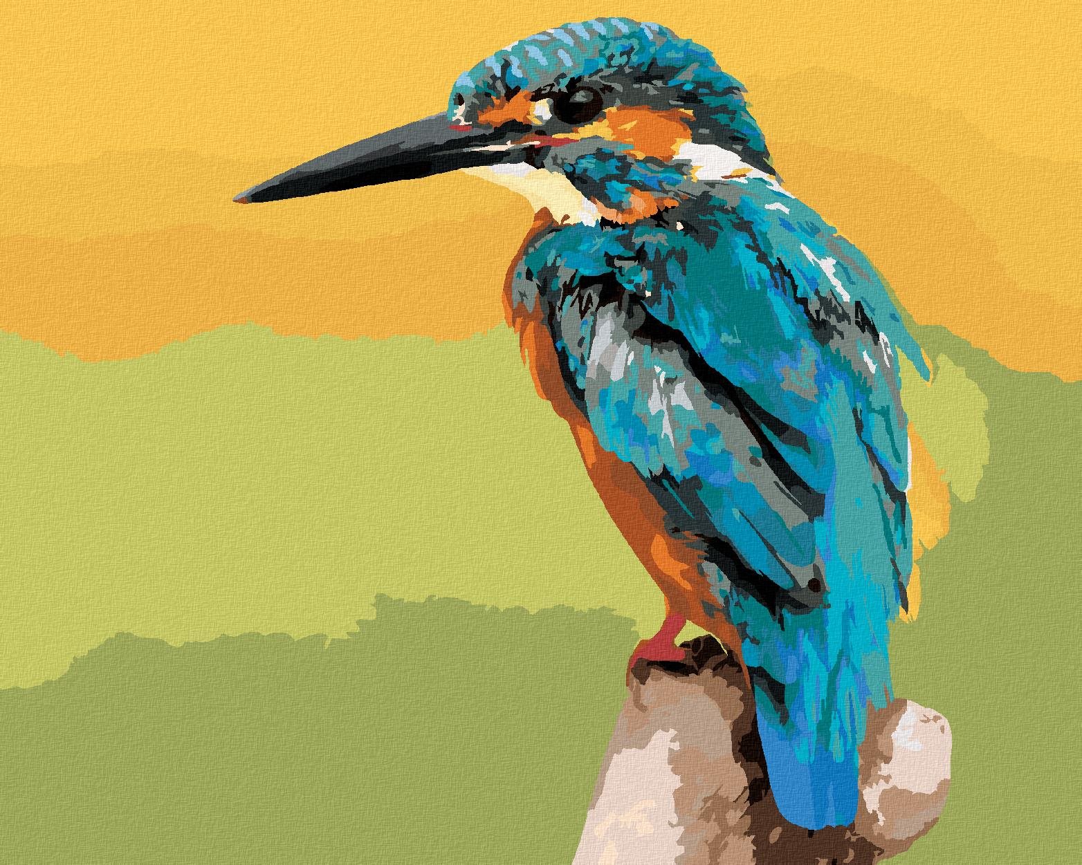 Zuty – Maľovanie Podľa Čísel – Vták Rybárik, 40 × 50 cm, Plátno + Rám