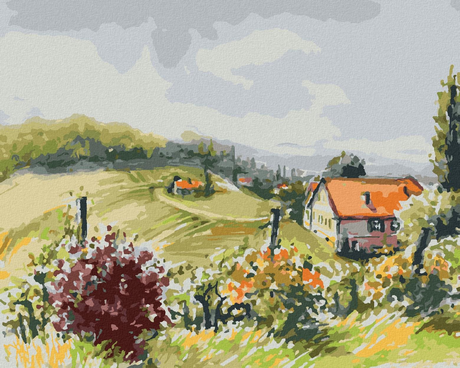 Zuty – Maľovanie Podľa Čísel – Krajina S Vinicami, 80 × 100 cm, Plátno