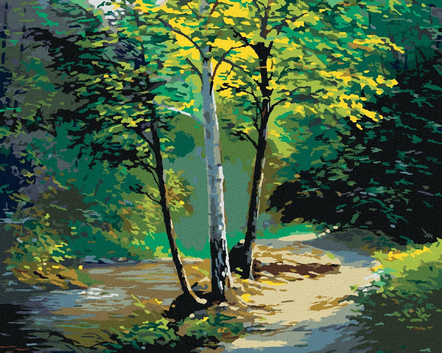 Zuty – Maľovanie Podľa Čísel – Nádherná Breza A Potôčik, 80 × 100 cm, Plátno + Rám