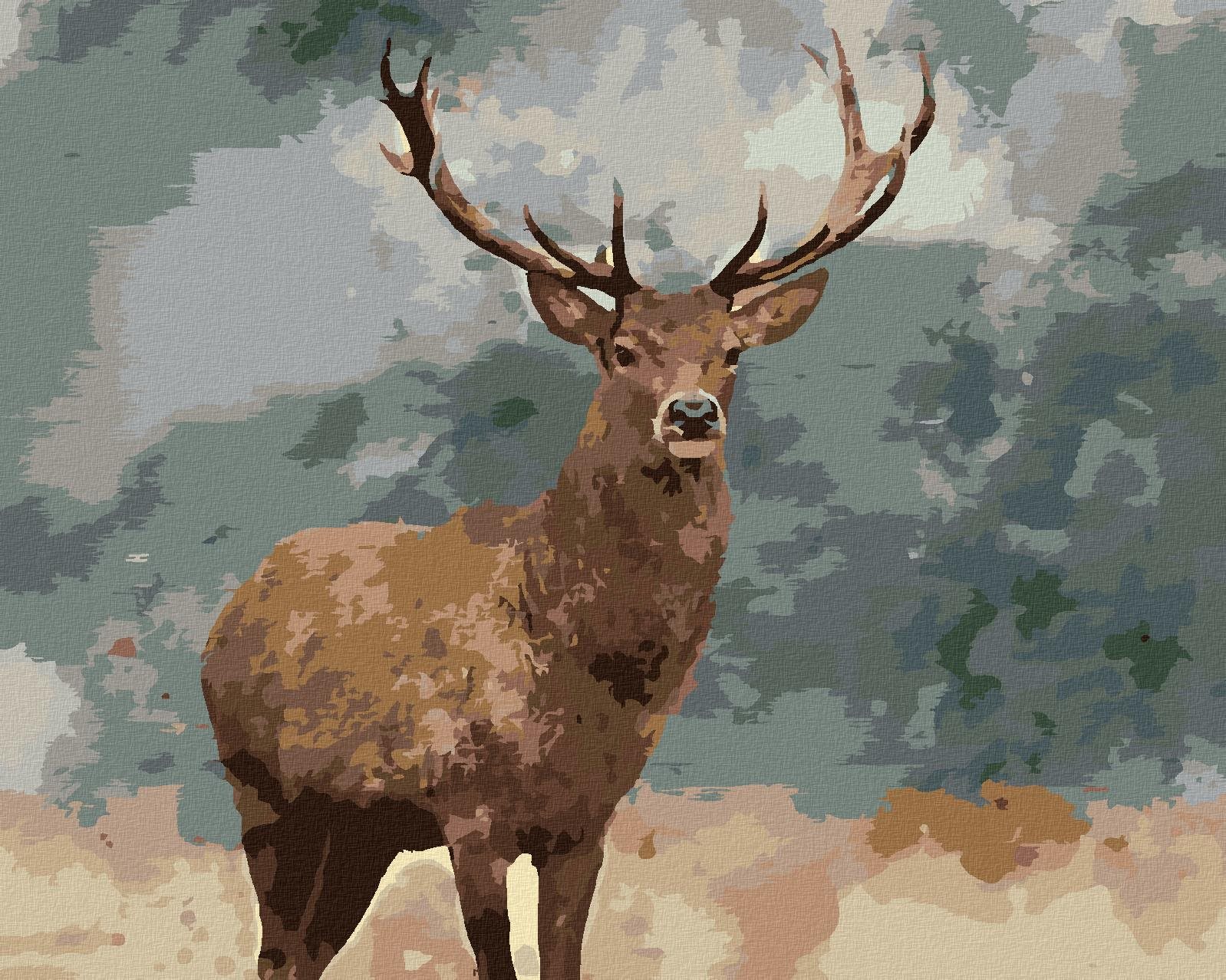 Zuty – Maľovanie Podľa Čísel – Dospelý Jeleň, 80 × 100 cm, Plátno + Rám