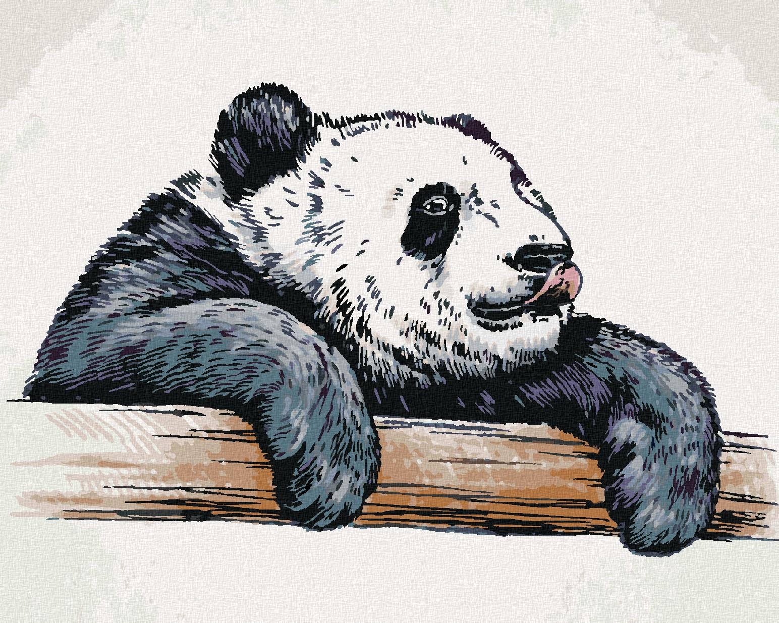 Zuty – Maľovanie Podľa Čísel – Olizujúca sa Panda, 40 × 50 cm, Plátno