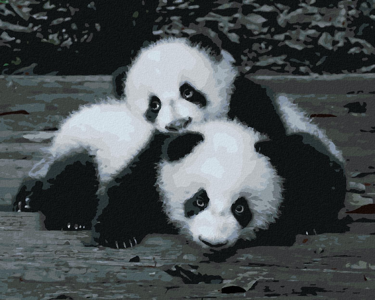 Zuty – Maľovanie Podľa Čísel – Pandy V ZOO, 80 × 100 cm, Plátno + Rám