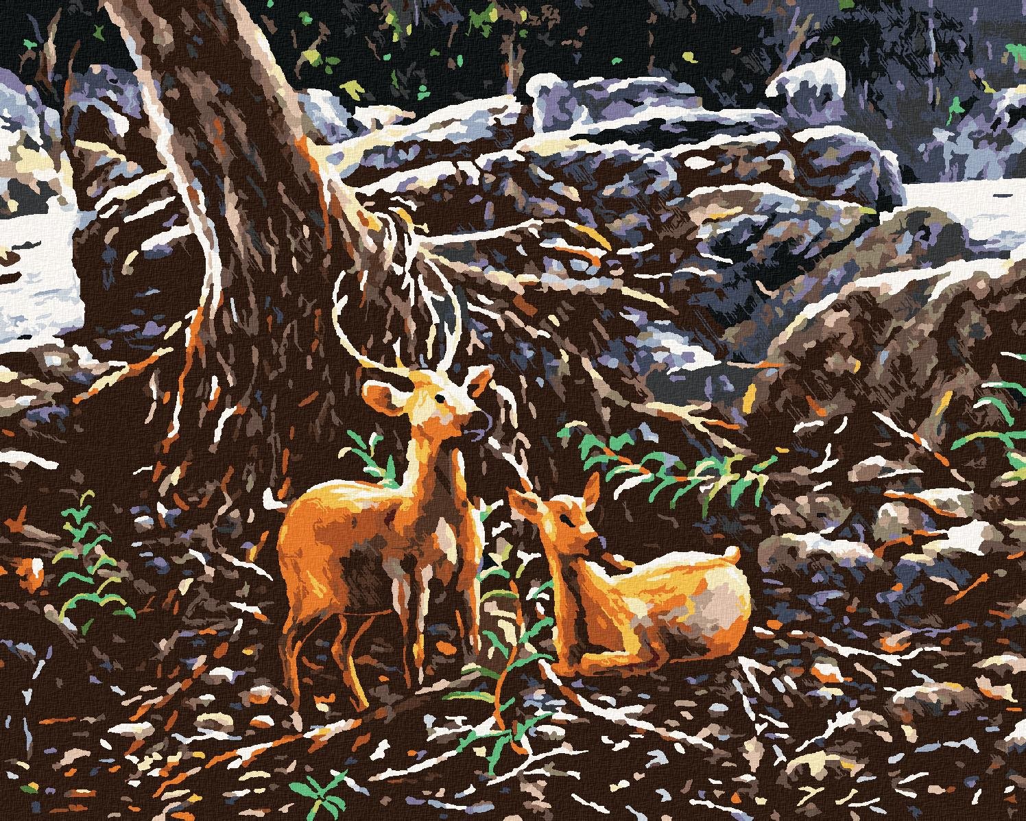 Zuty – Maľovanie Podľa Čísel – Dva Jelene V Lese, 40 × 50 cm, Plátno