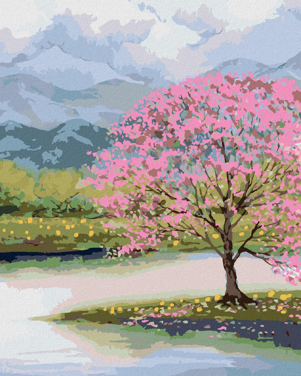 Zuty – Maľovanie Podľa Čísel – Rozkvitnutá Sakura Pri Vode, 40 × 50 cm, Plátno + Rám