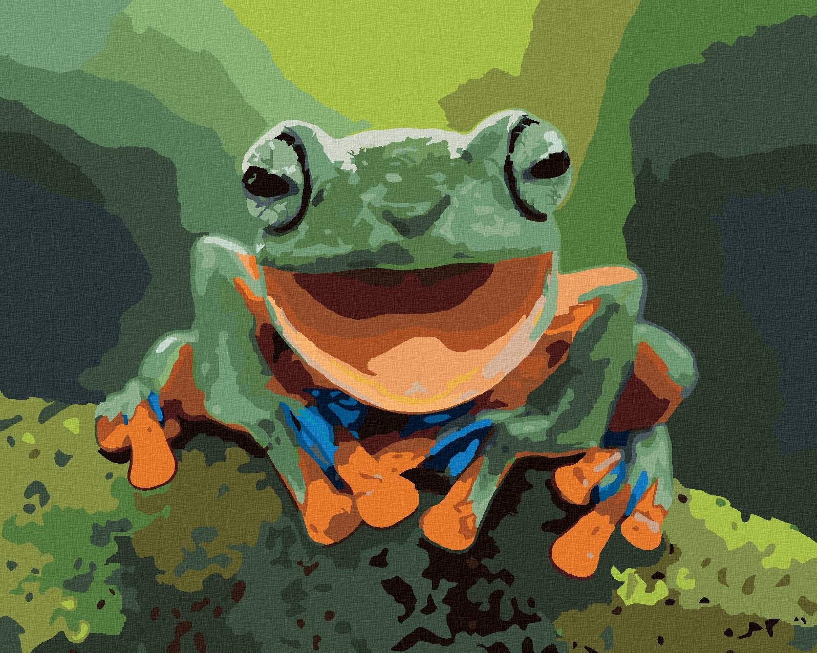 Zuty – Maľovanie Podľa Čísel – Smejúca Sa Žaba, 80 × 100 cm, Plátno