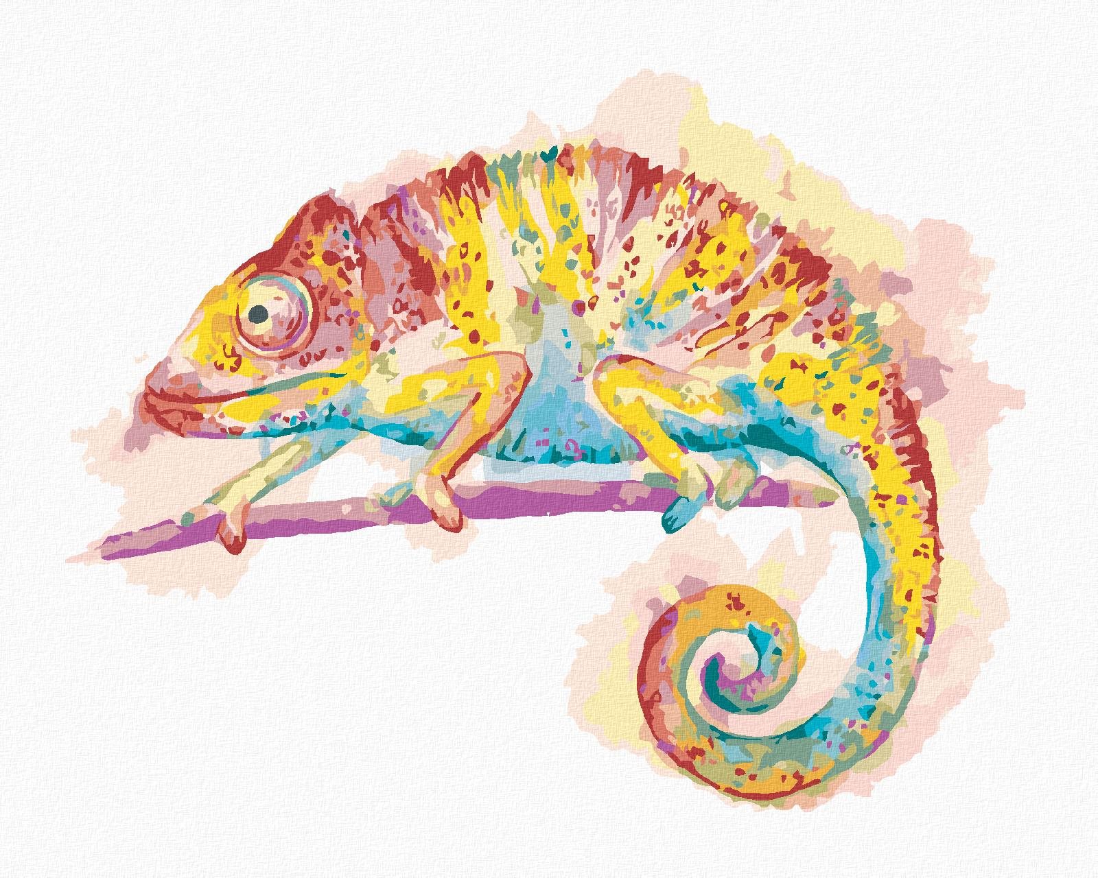 Zuty – Maľovanie Podľa Čísel – Farebný Chameleón Na Bielom Pozadí, 40 × 50 cm, Plátno