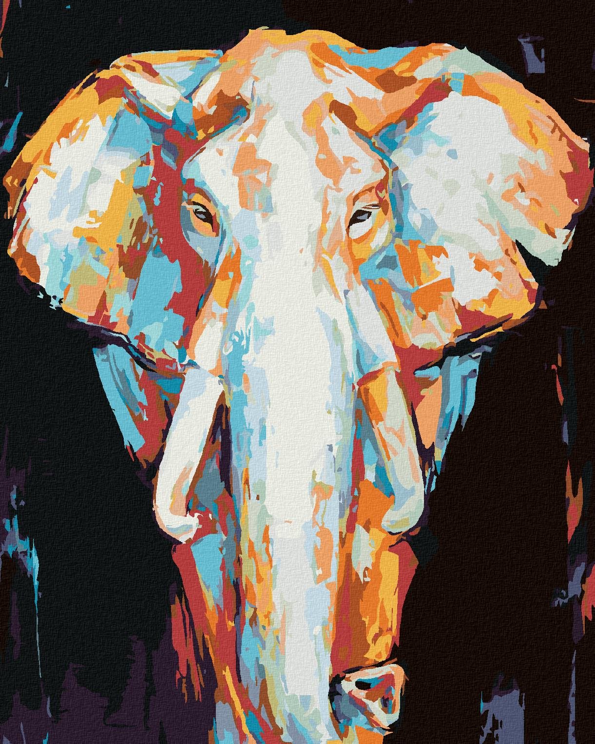 Zuty – Maľovanie Podľa Čísel – Farebný Slon Na Čiernom Pozadí, 40 × 50 cm, Plátno + Rám