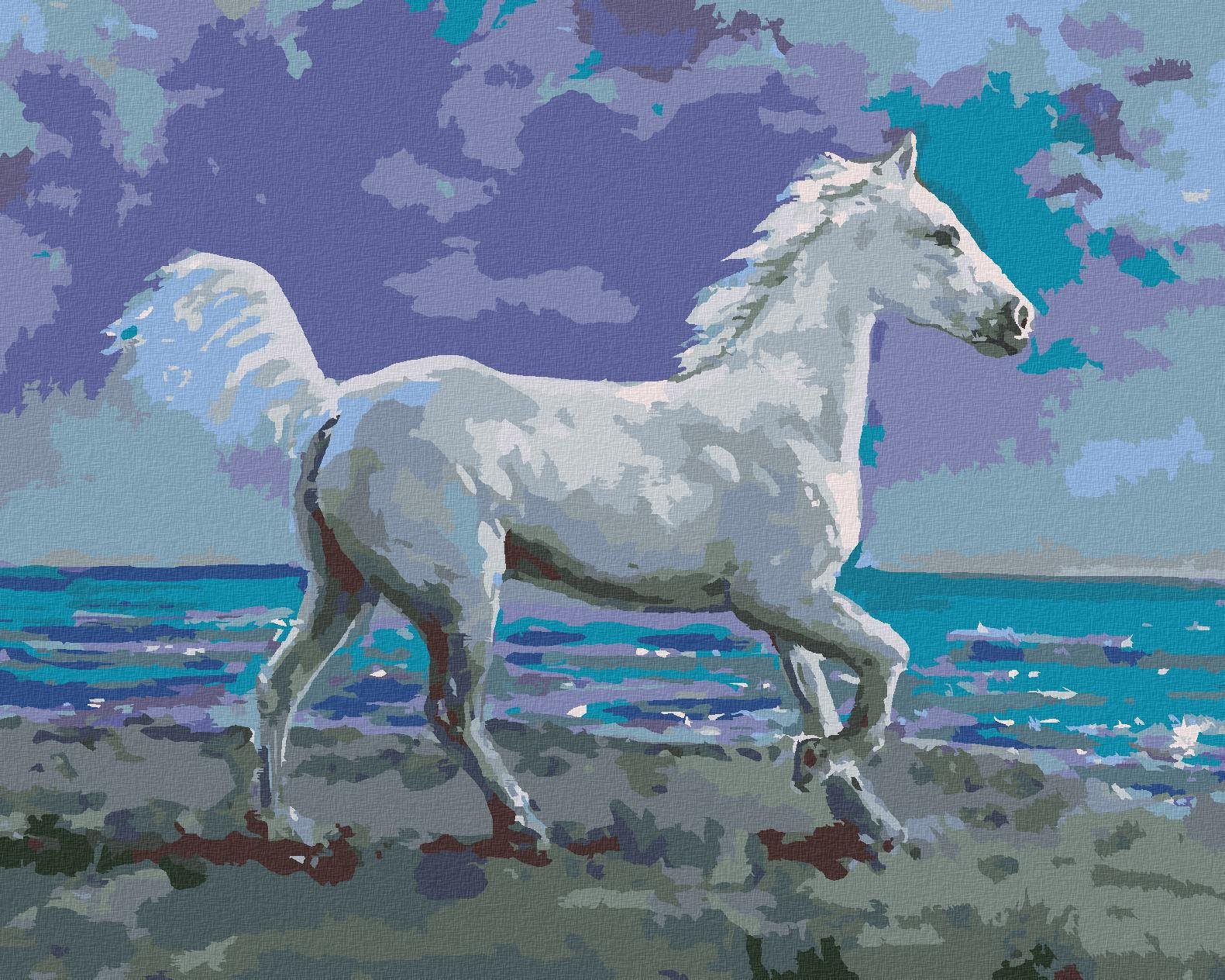 Zuty – Maľovanie Podľa Čísel – Biely Kôň Na Brehu, 80 × 100 cm, Plátno + Rám