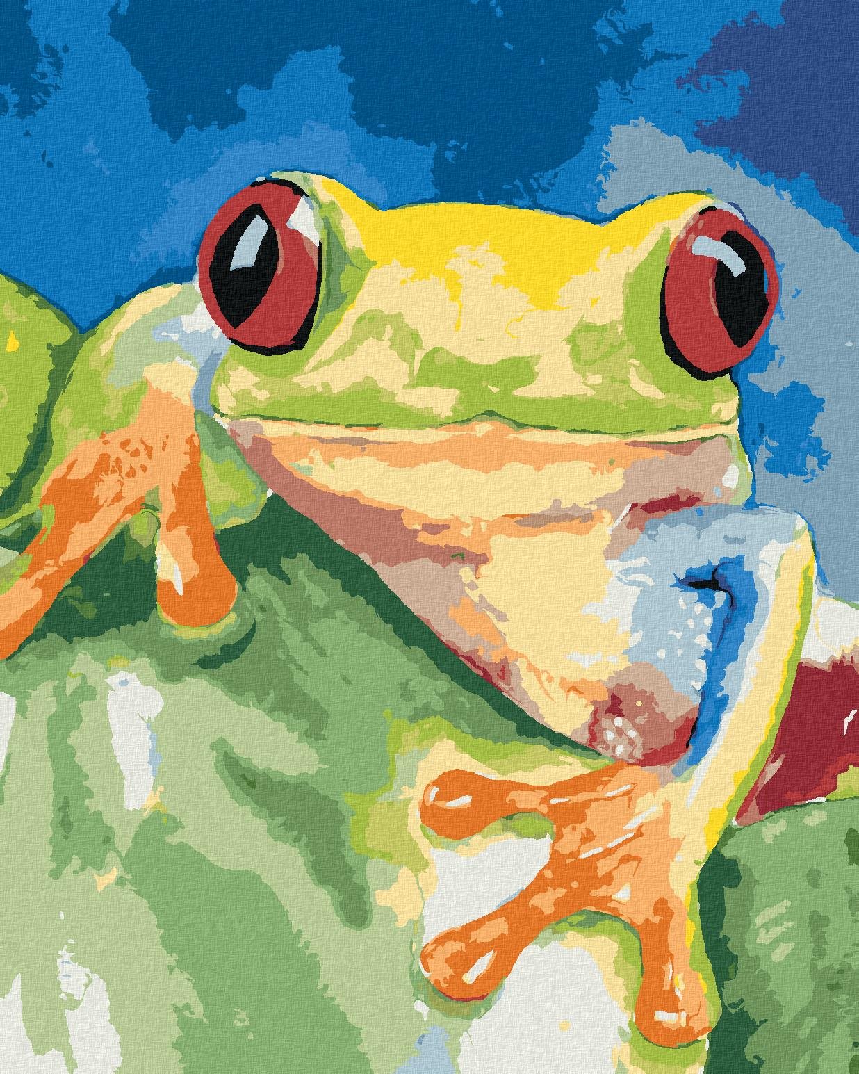 Zuty – Maľovanie Podľa Čísel – Žaba Sediaca Na Liste, 40 × 50 cm, Plátno + Rám