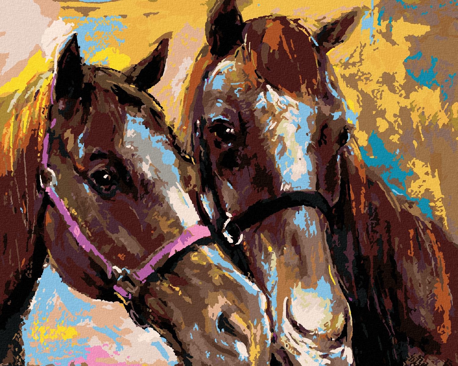 Zuty – Maľovanie Podľa Čísel – Dva Hnedé Kone, 40 × 50 cm, Plátno