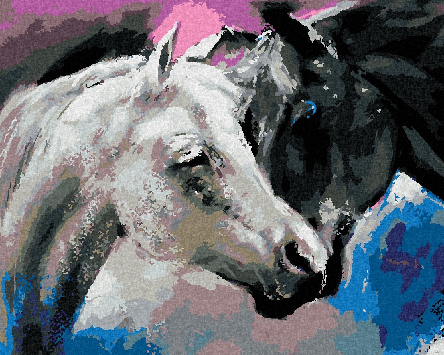Zuty – Maľovanie Podľa Čísel – Čierny A Biely Kôň, 80 × 100 cm, Plátno + Rám