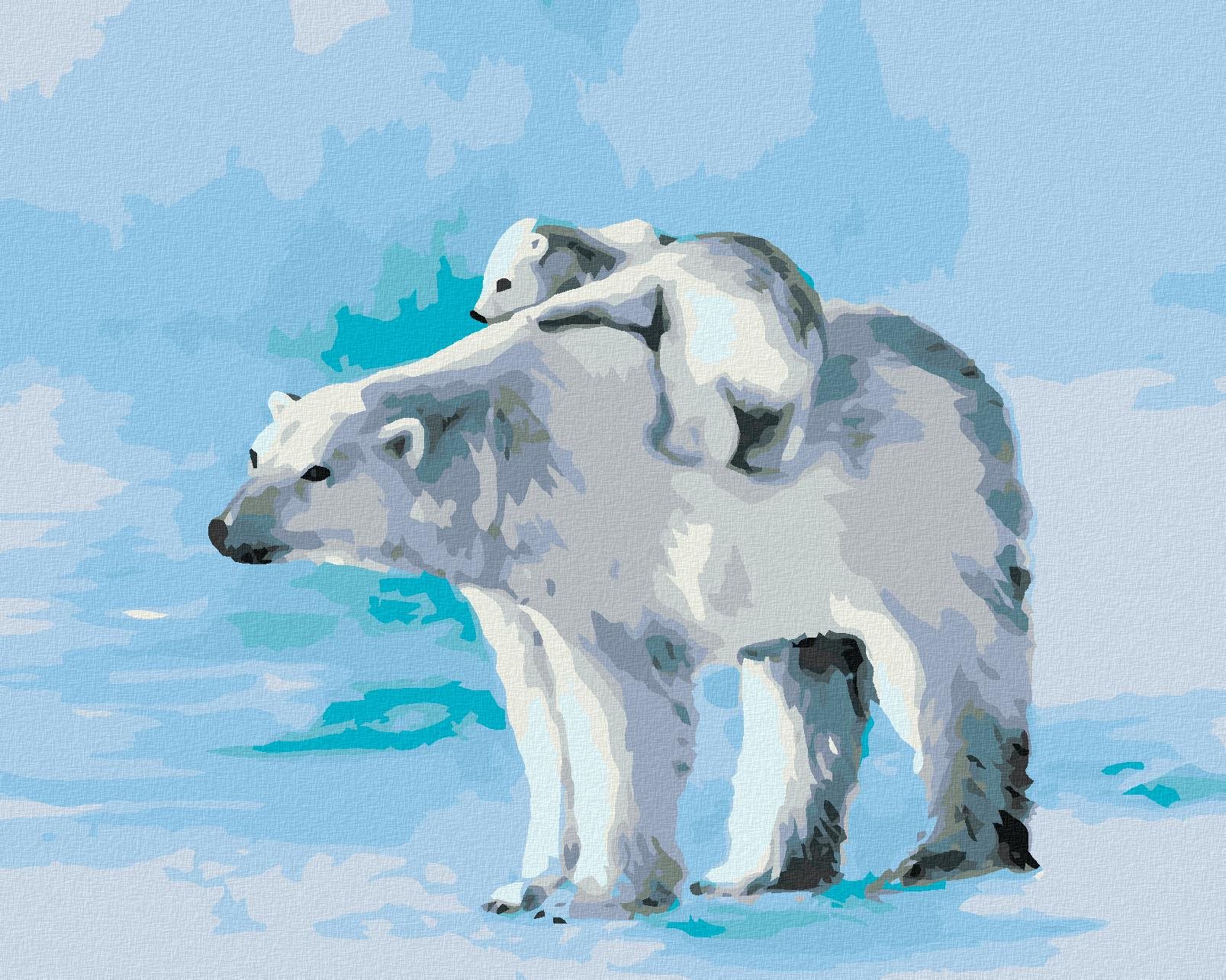Zuty – Maľovanie Podľa Čísel – Polárny Medveď A Medvieďa, 40 × 50 cm, Plátno + Rám