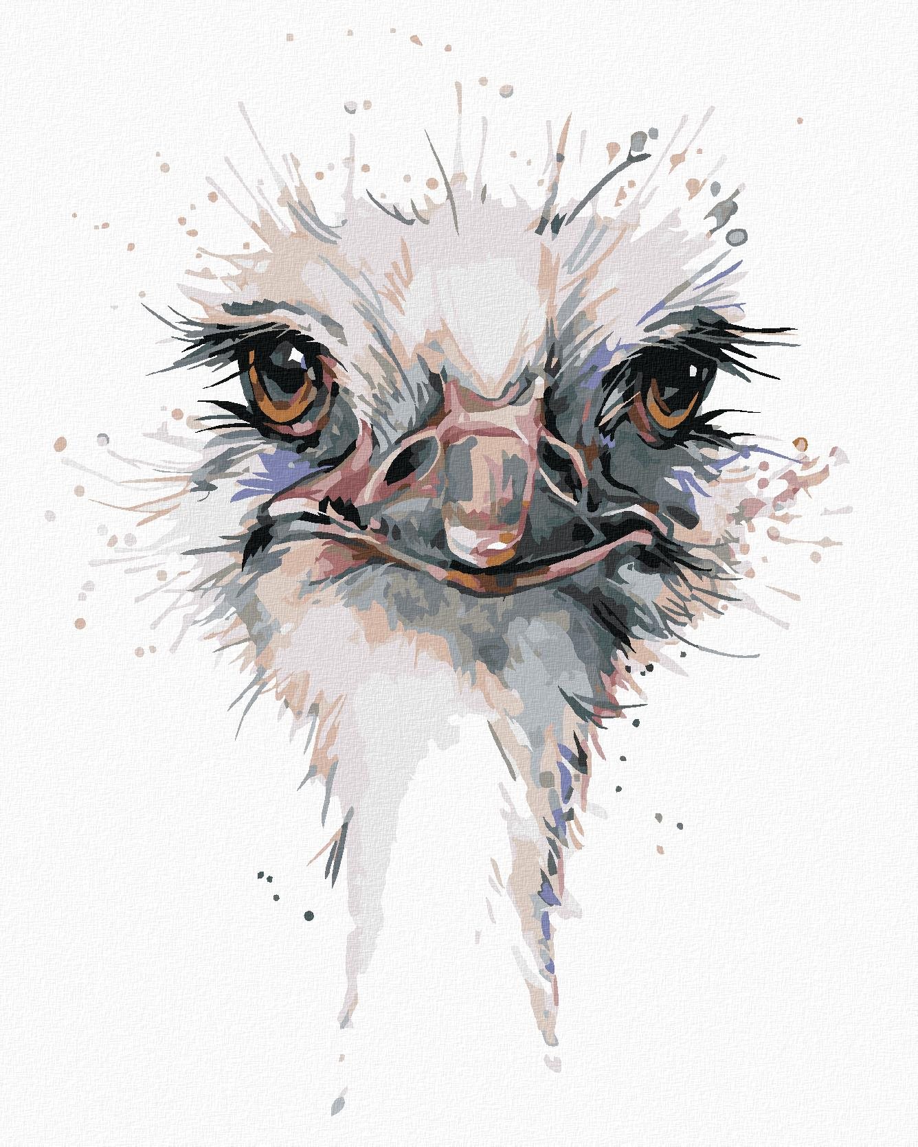 Zuty – Maľovanie Podľa Čísel – Pštrosia Hlava, 40 × 50 cm, Plátno