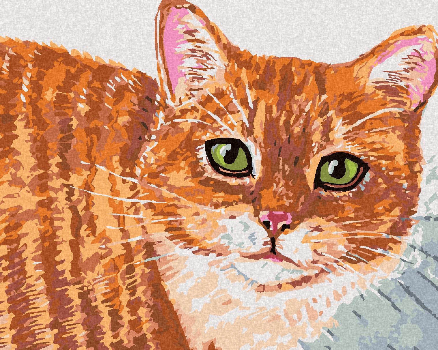 Zuty – Maľovanie Podľa Čísel – Béžová Mačka A Zelené Oči, 40 × 50 cm, Plátno