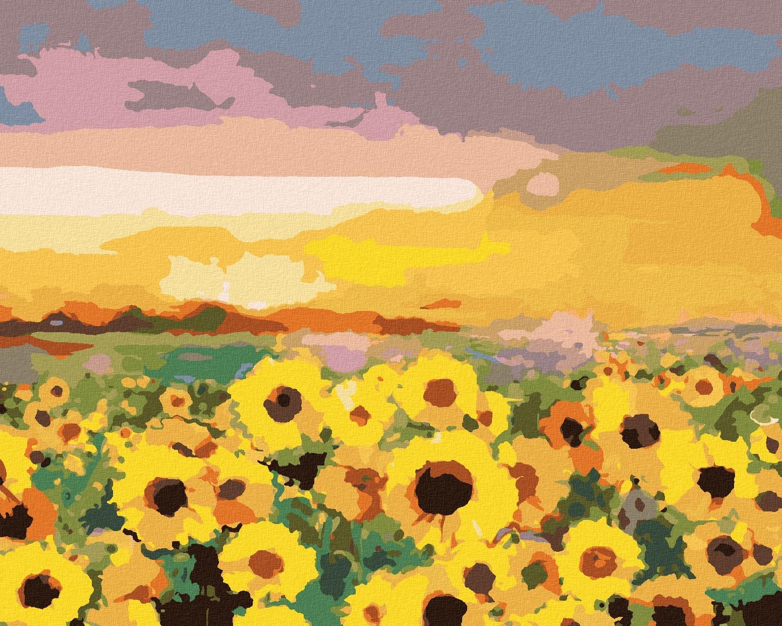 Zuty – Maľovanie Podľa Čísel – Slnečnice Na Poli A Západ Slnka, 40 × 50 cm, Plátno
